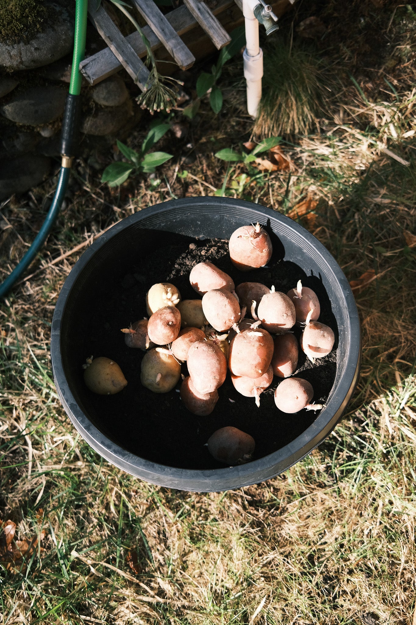 COMING SPRING | Organic Farm-to-Table Supper Club